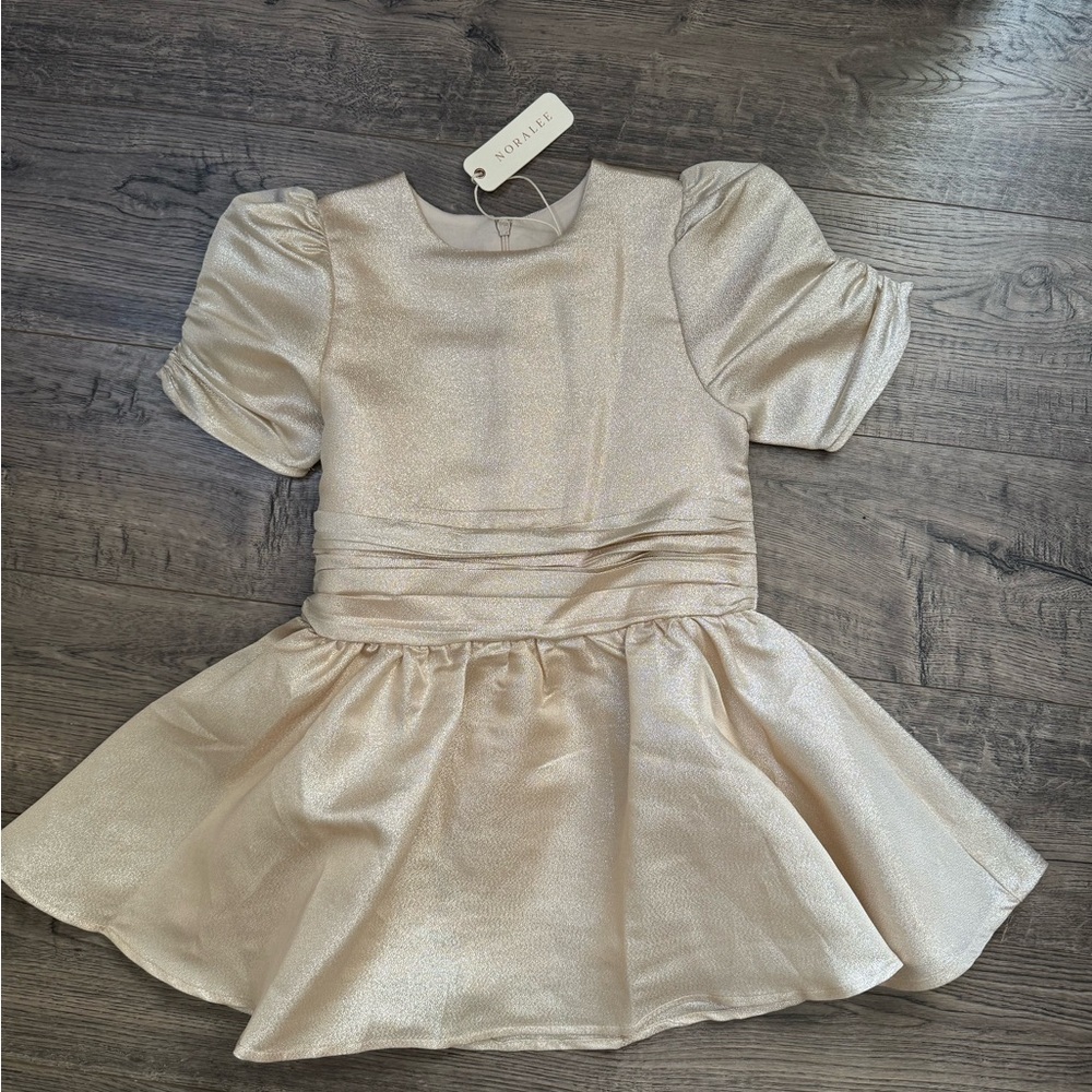 Noralee metallic champagne Josephine dress size 2 tags still on